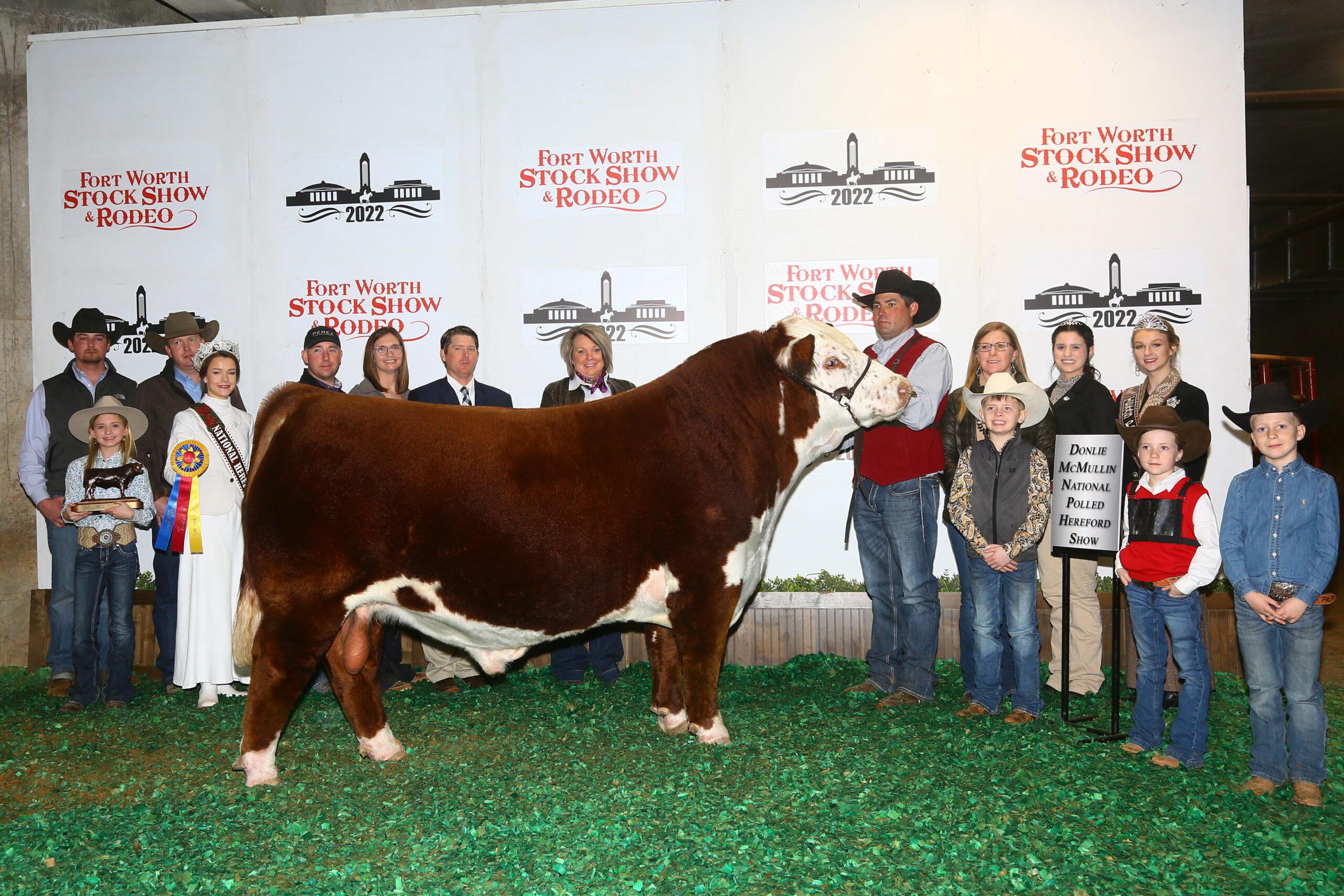 American Hereford Hereford Champions Return to the Fort Worth Stock Show  picture