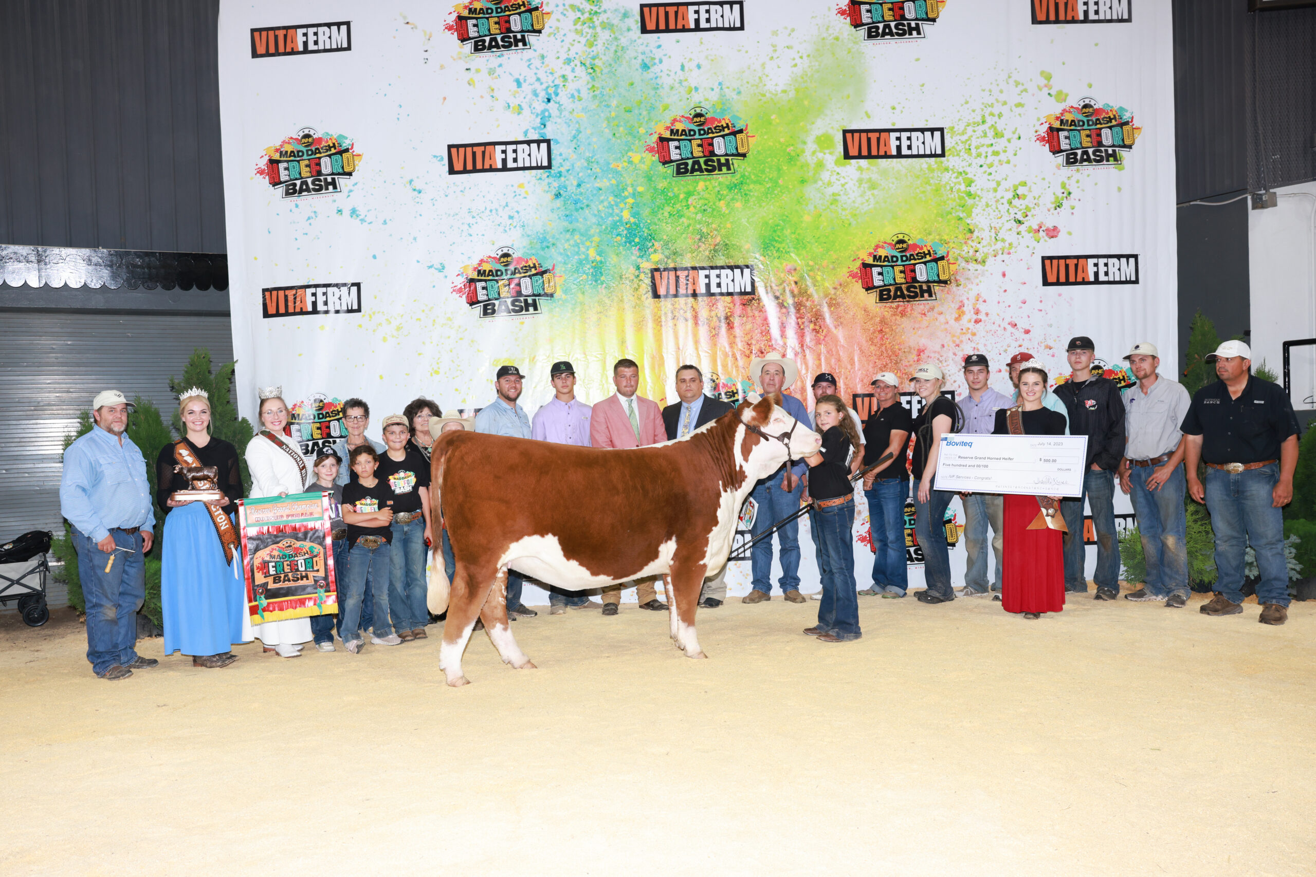 American Hereford Results picture