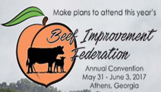 Can’t attend the Beef Improvement Federation Annual Convention?