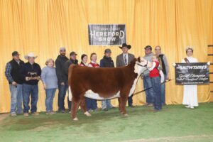 Champions Named at the Western States National Hereford Show