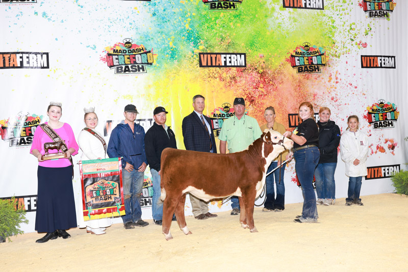 Effling Takes Top Honors at JNHE Bred-and-Owned Bull Show