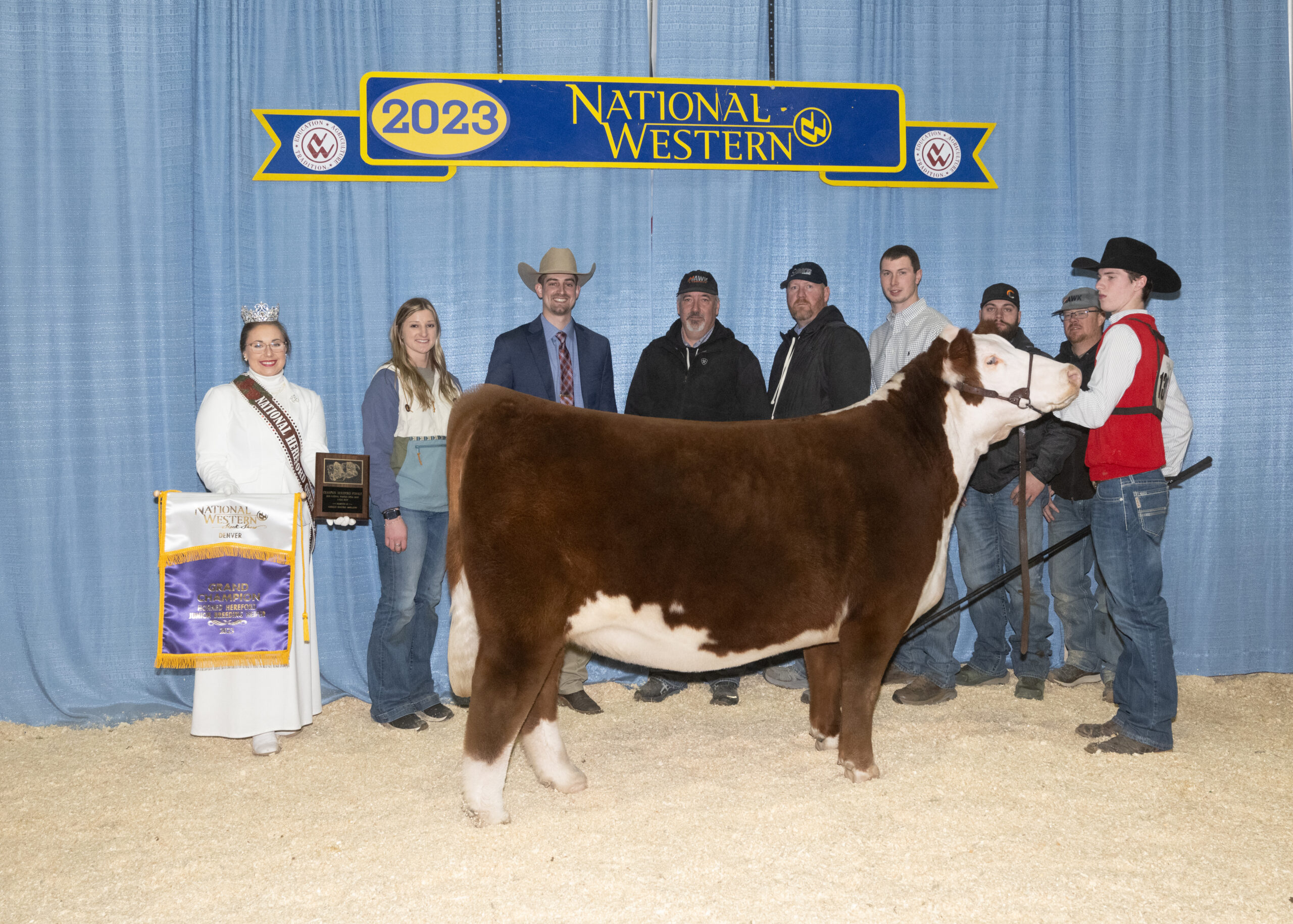 Junior Hereford Exhibitors Succeed on The Hill at the National Western Stock Show