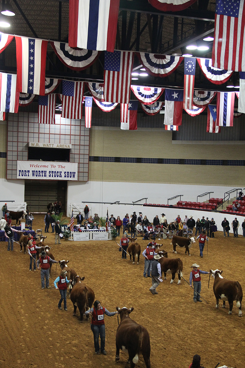 Champions Named at the Legendary Fort Worth Stock Show