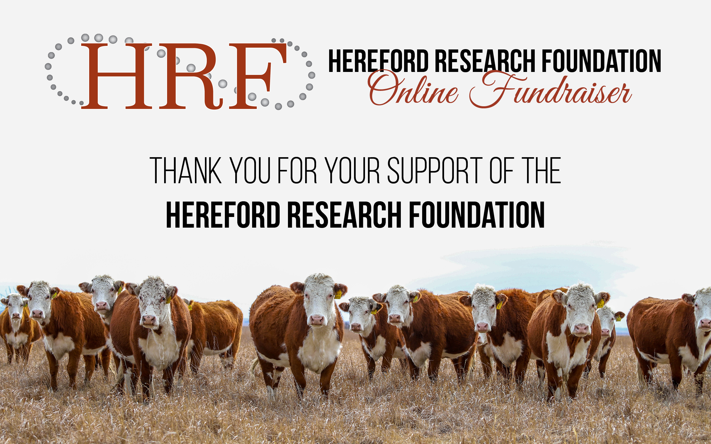Online Auction raises approximately $40,000 for Hereford Research Foundation