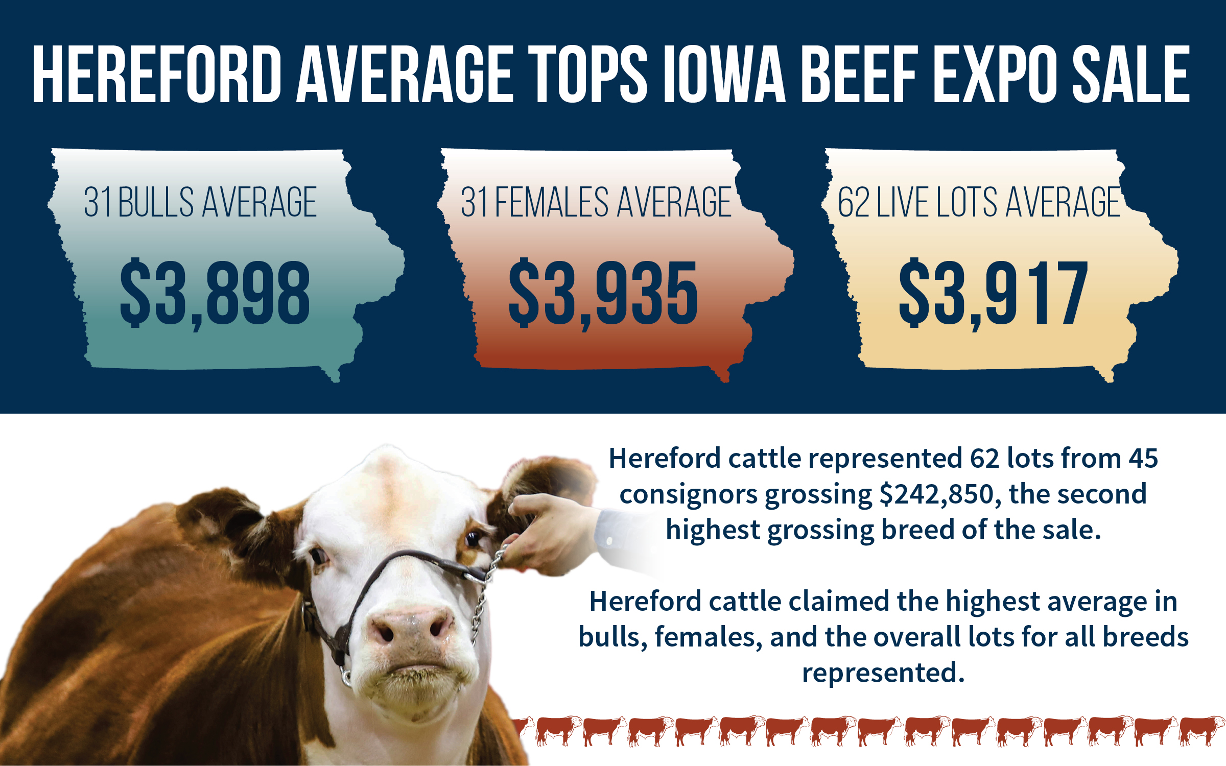 Hereford Average Tops Iowa Beef Expo Sale