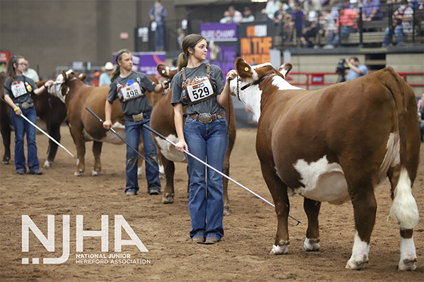 Barber, Kolterman Win Bred-and-Owned Female Titles at Junior National Hereford Expo