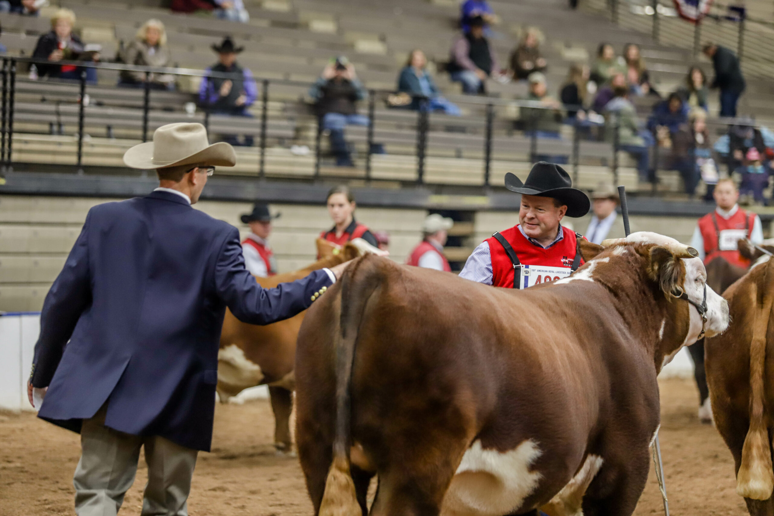 Fawcett Sorts American Royal National Hereford Show