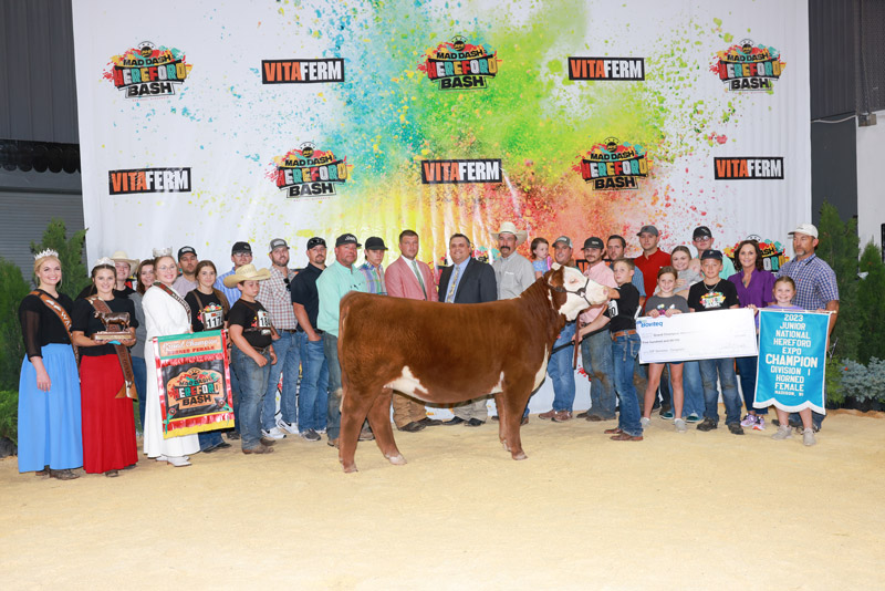 Lewis, Weldon Win Big During JNHE Owned Female Show