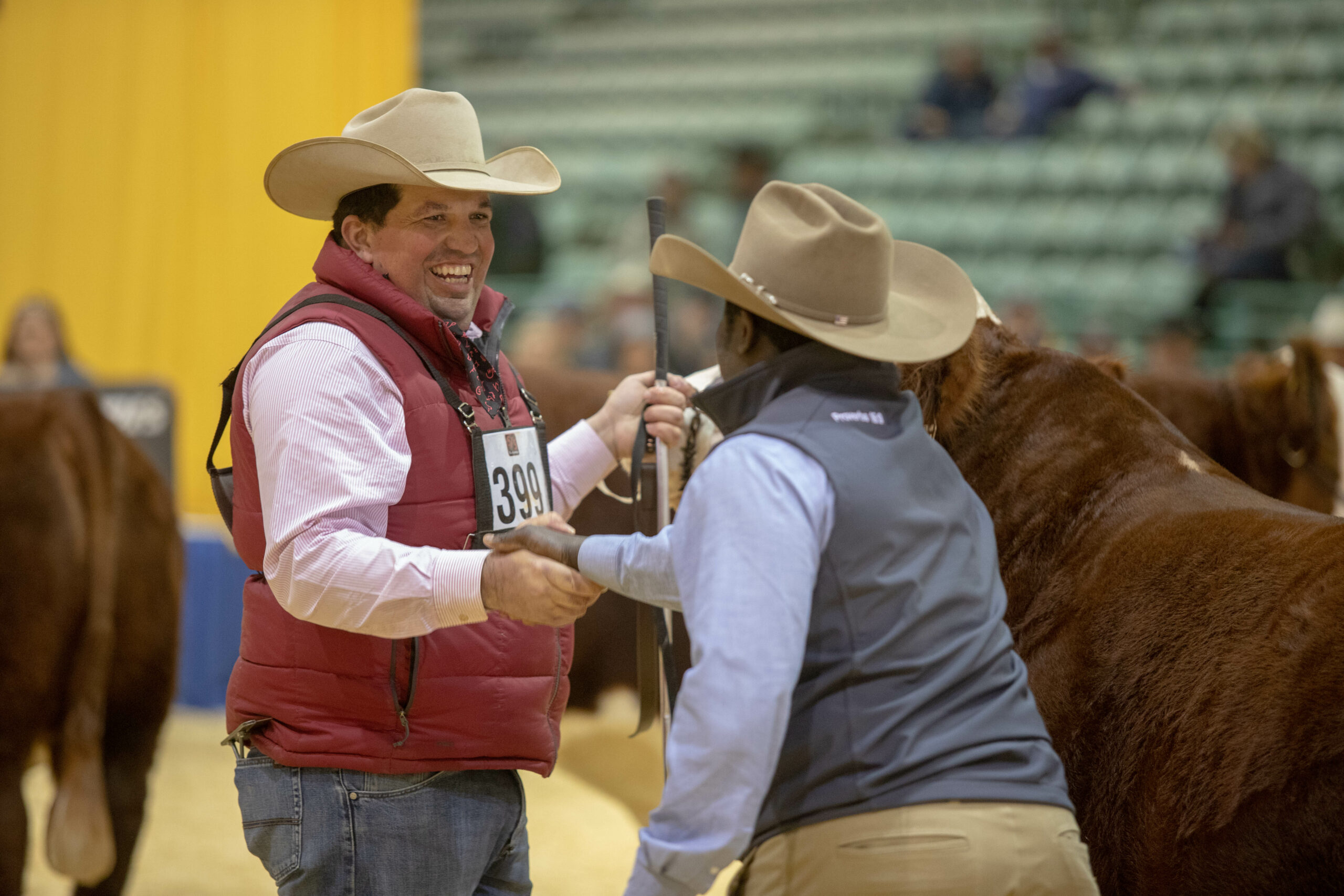 Best of the West - Champions Named at Western States National Hereford Show