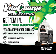 Vita charge Hereford cattle drench is perfect for Herefords at shows.