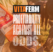 Vitafarm's profitability shines in the Hereford cattle shows against all odds.