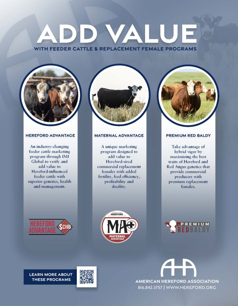 A flyer highlighting the important benefits of feeder cattle & replacement female programs.