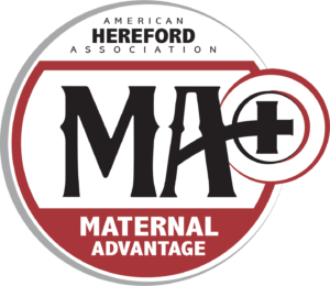 The logo for the American Herford Association's media advantage.