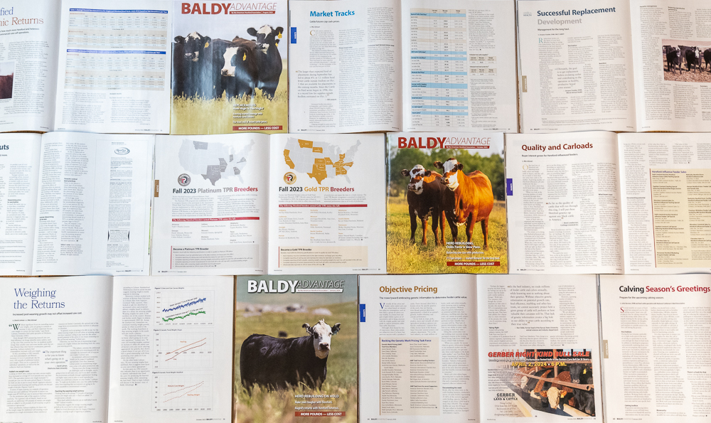 A collection of books featuring cows on the cover that showcases the Baldy Advantage.