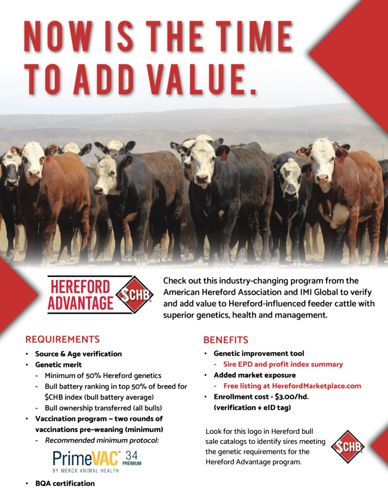         A media flyer that says now is the time to add value to your cattle.