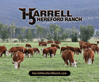 Harrell Hereford Ranch Ad