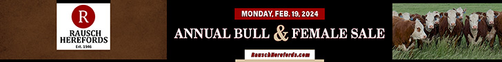 Rausch's Annual bull & calf sale ad